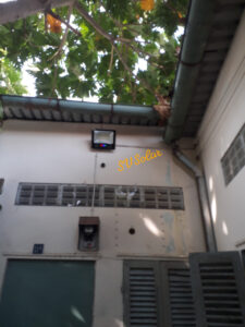 đèn pha VS100W NLMT