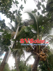 lắp đặt 8 đèn đường liền thể VS-S500 500W NLMT cho anh Đàm