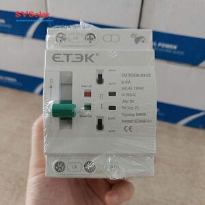 ATS tự động ETEK 63A 2P