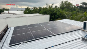 dien mat troi bam tai