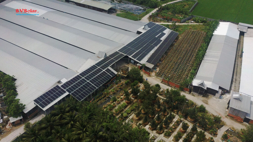 SVSolar hoàn thành hệ thống điện mặt trời 228Kw cho trại gà quy mô lớn ở Chợ Gạo