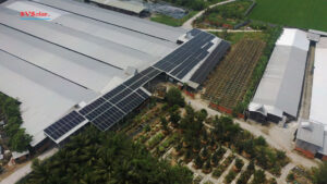 SVSolar hoàn thành hệ thống điện mặt trời 228Kw cho trại gà quy mô lớn ở Chợ Gạo