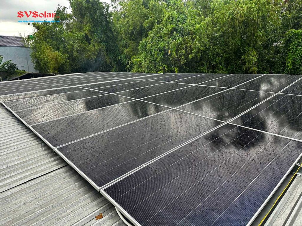 Điện mặt trời cho trang trại chăn nuôi